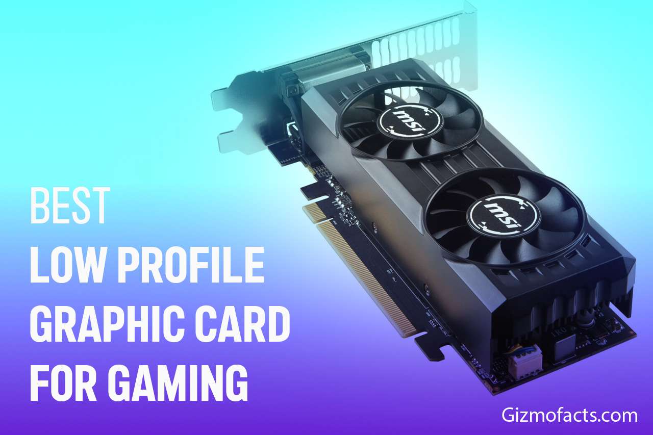 7 Best Low Profile Graphics Card For Gaming Gizmofacts